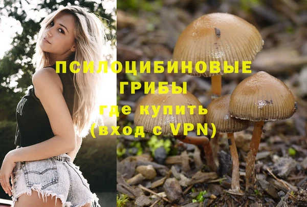 прущий лед Алексеевка