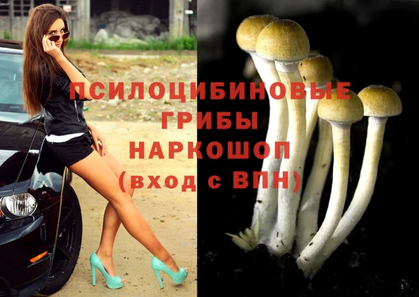прущий лед Алексеевка