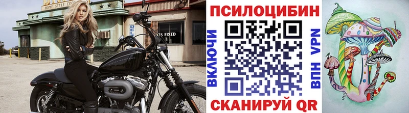 Псилоцибиновые грибы мицелий  Бавлы 