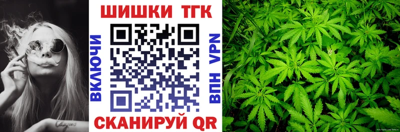 Каннабис сатива  Бавлы 
